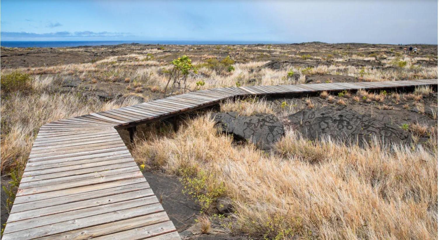 Volcano One - Modern Studio With Lanai Near Volcano National Park Eksteriør billede